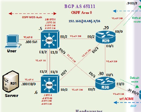 cipon -ccie